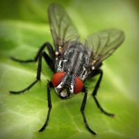 /album/stardoll-star/photolia-a01-jpg/