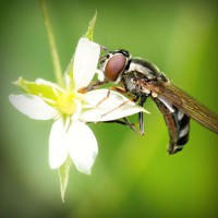 /album/stardoll-star/photolia-a02-jpg/