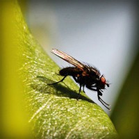 /album/stardoll-star/photolia-a04-jpg/