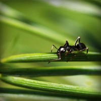 /album/stardoll-star/photolia-a05-jpg/