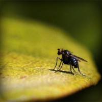 /album/stardoll-star/photolia-a07-jpg/