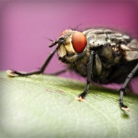 /album/stardoll-star/photolia-a08-jpg/